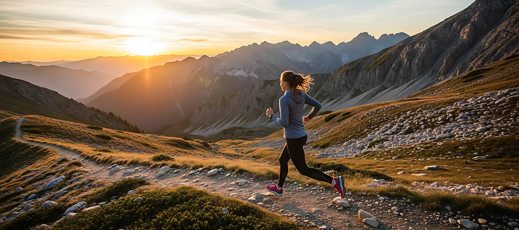 Synergie Effekte zwischen essentiellen Aminosäuren und Nukleotiden