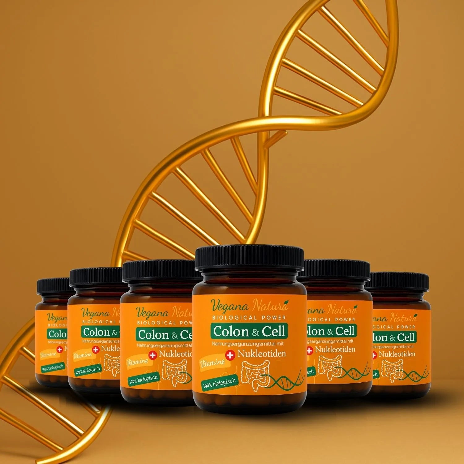 Nukleotide - Colon & Cell