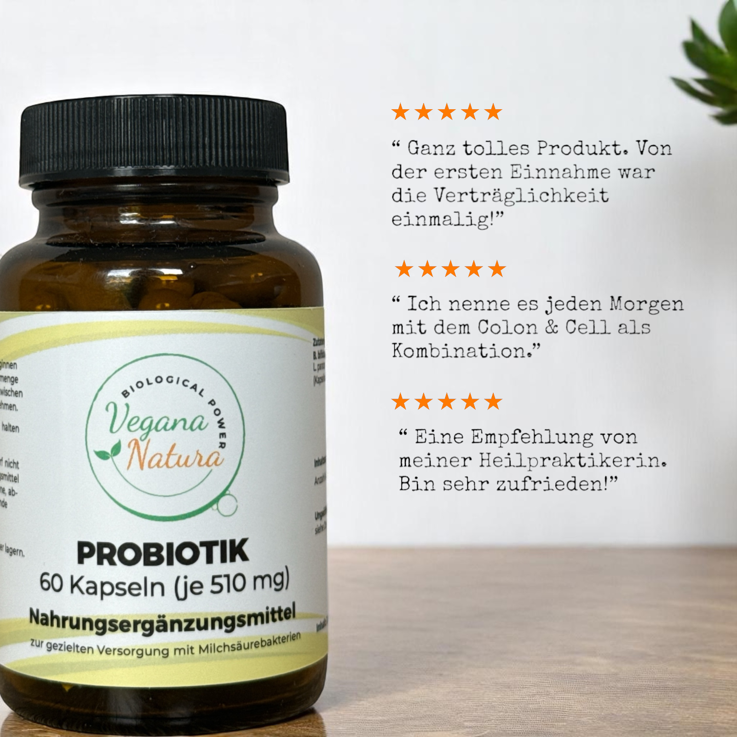 Probiotik Kapseln