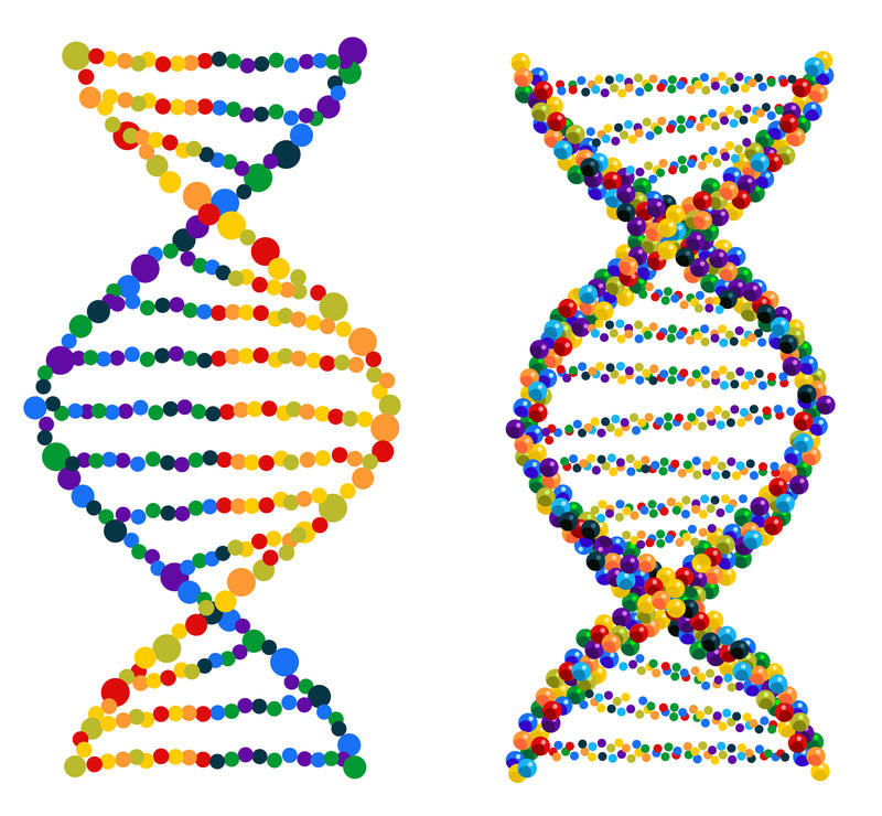 2 DNA Stränge als abstrakte Abbildung