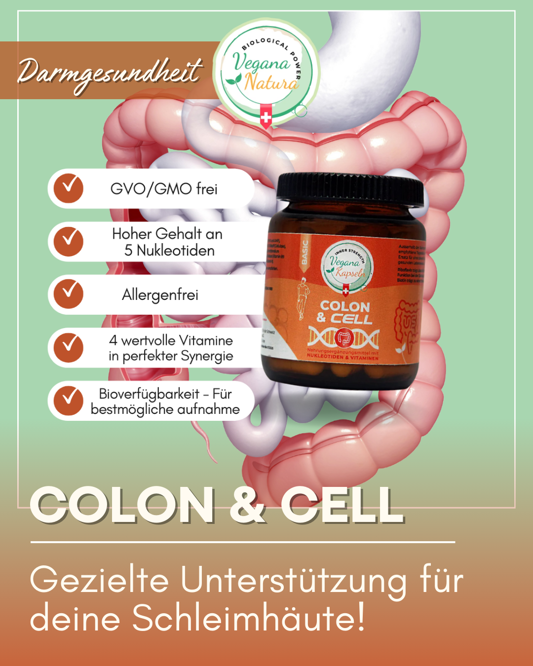 Colon & Cell + Nukleotide