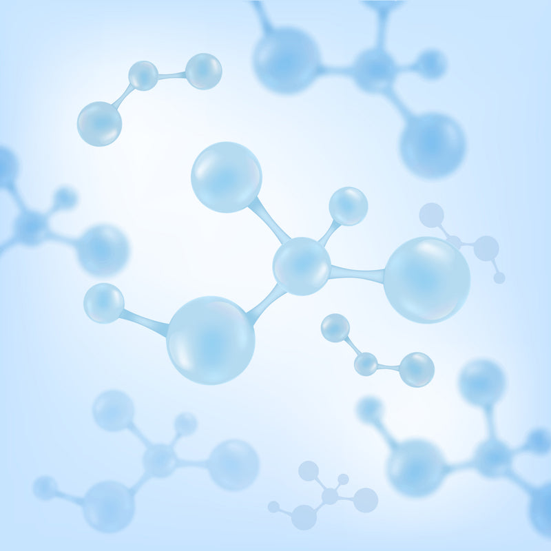Transkription und Translation (Proteinsynthese)