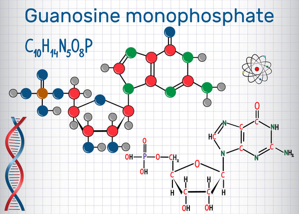 Guanosin (GMP)