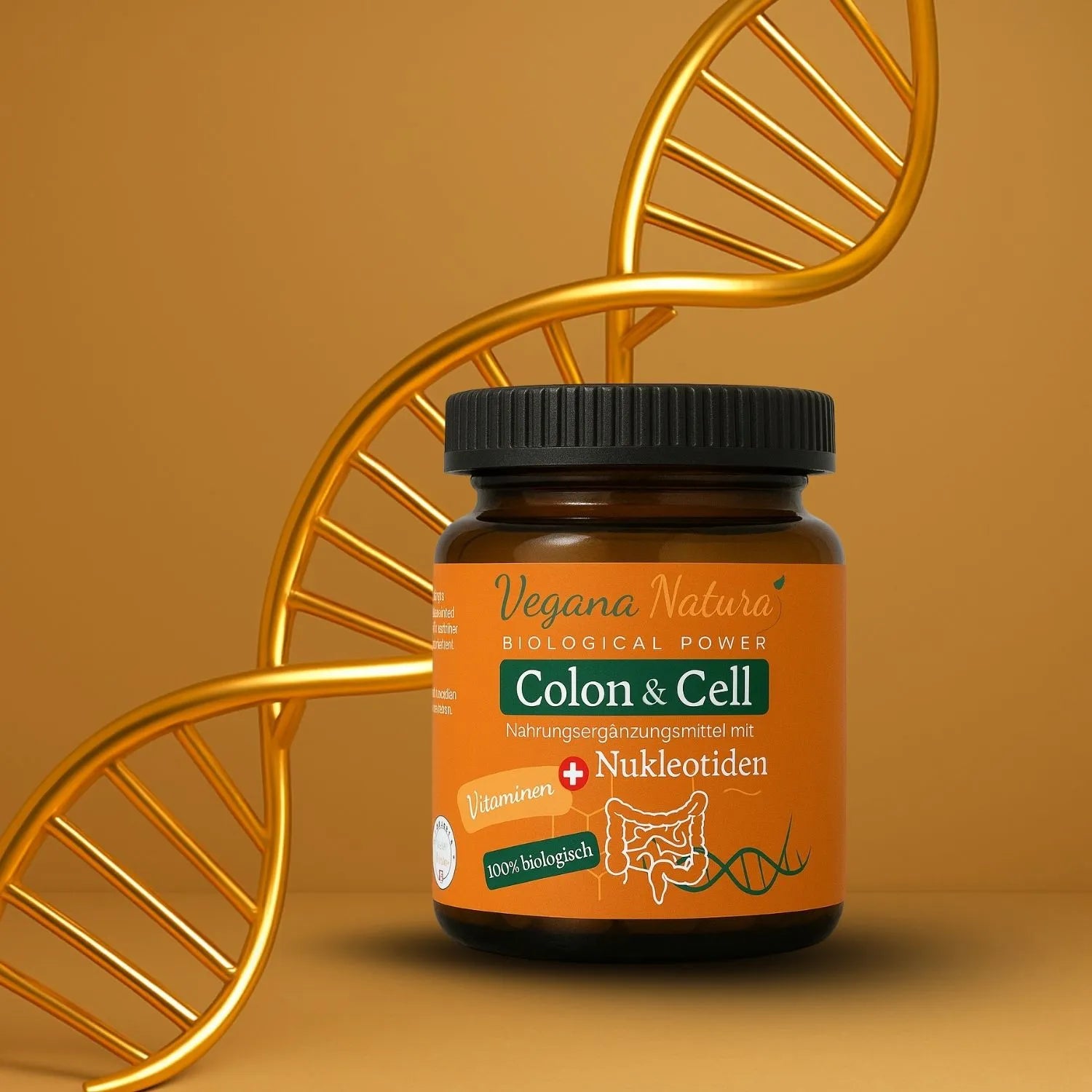 Colon & Cell + Nukleotide