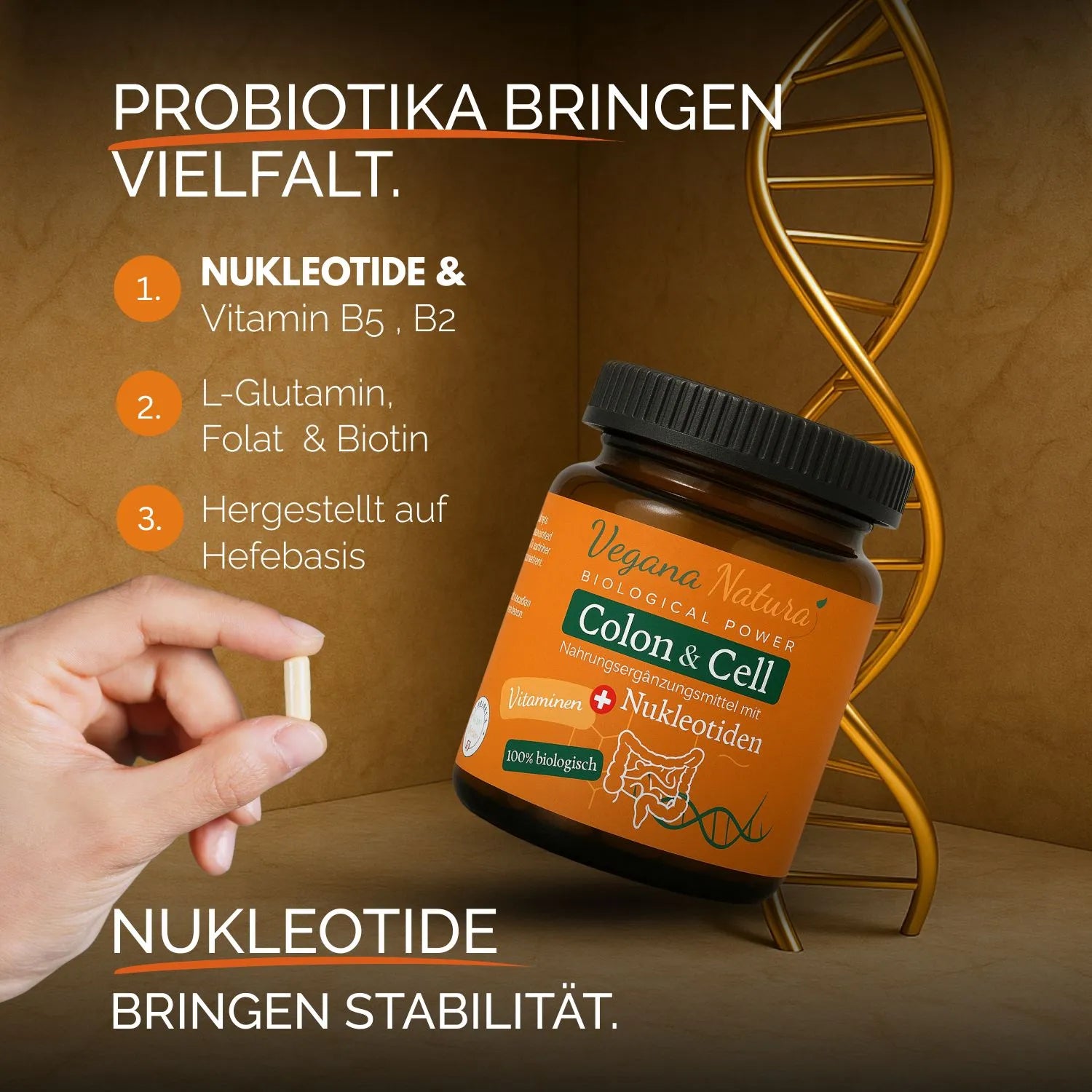 Colon & Cell + Nukleotide