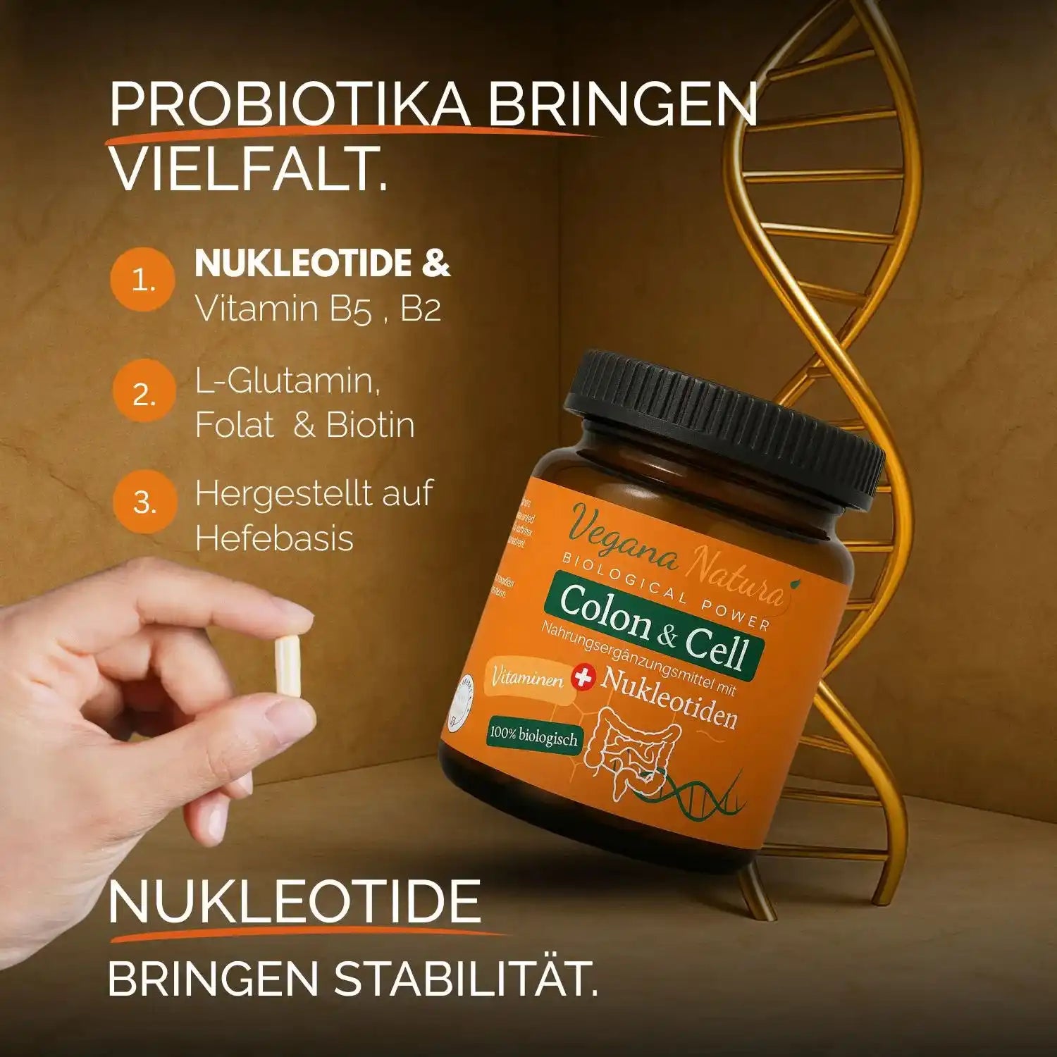 Nukleotide - Immunsystem Bundle