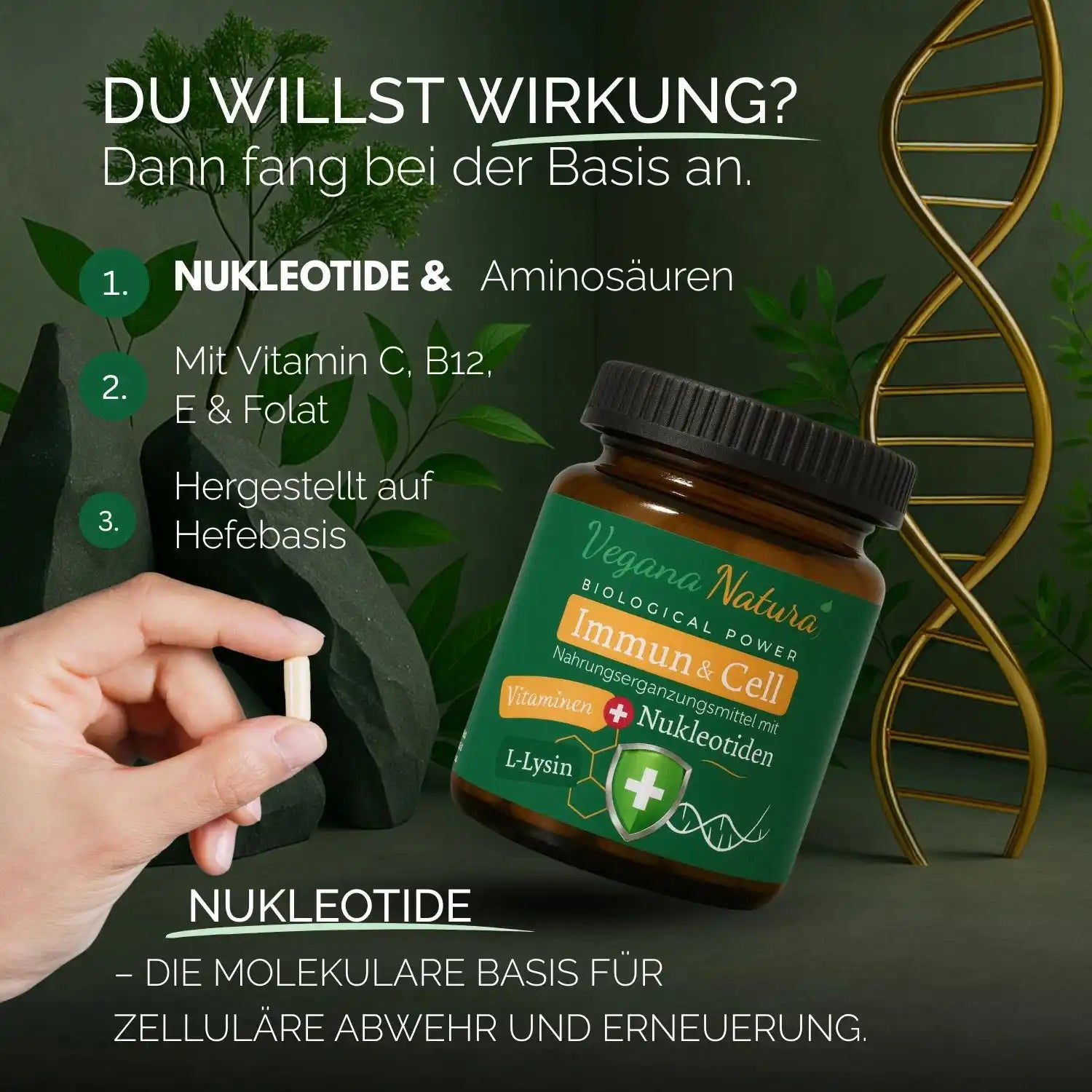 Nukleotide - Immunsystem Bundle