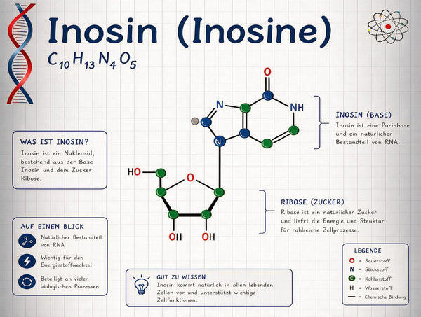 Inosin (IMP)