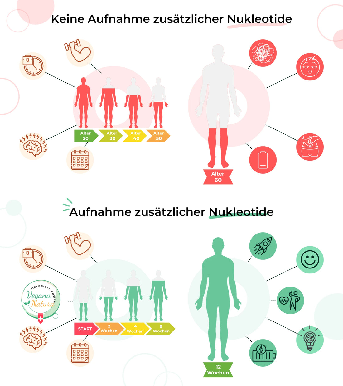 aufnahme und keine aufnhame zusätzlicher nukleotide auswirkungen auf den körper