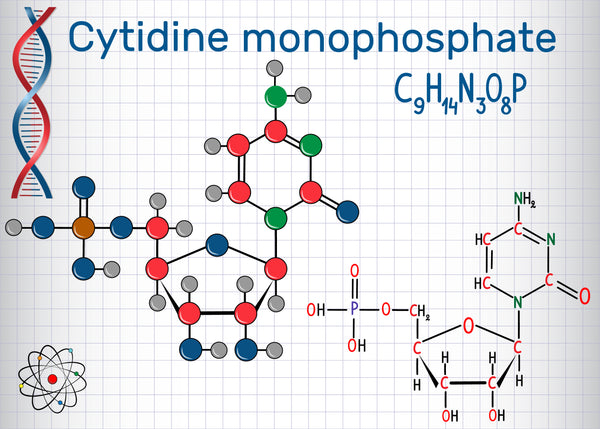 Cytidin (CMP)